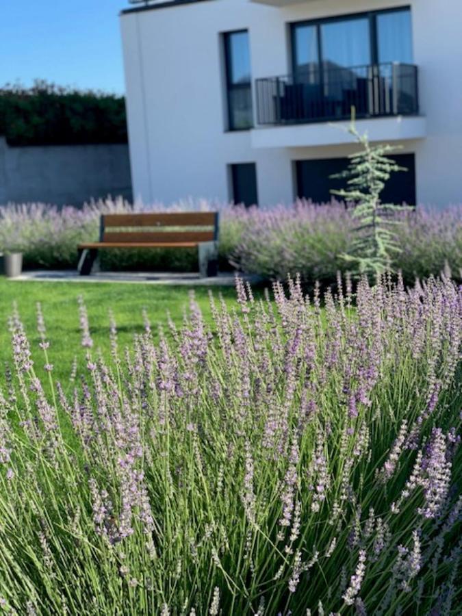 Paskom Apartmanhaz Nyergesujfalu Eksteriør bilde